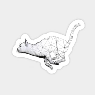 Polycat Sticker